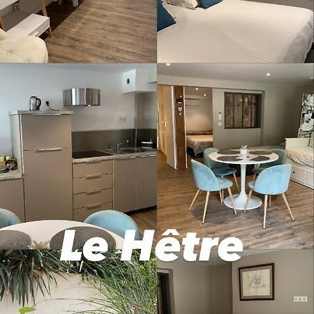 L'Hetre Villa Saint-Sébastien-sur-Loire Kültér fotó